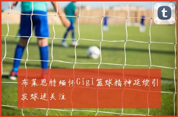布莱恩特缅怀Gigi篮球精神延续引发球迷关注