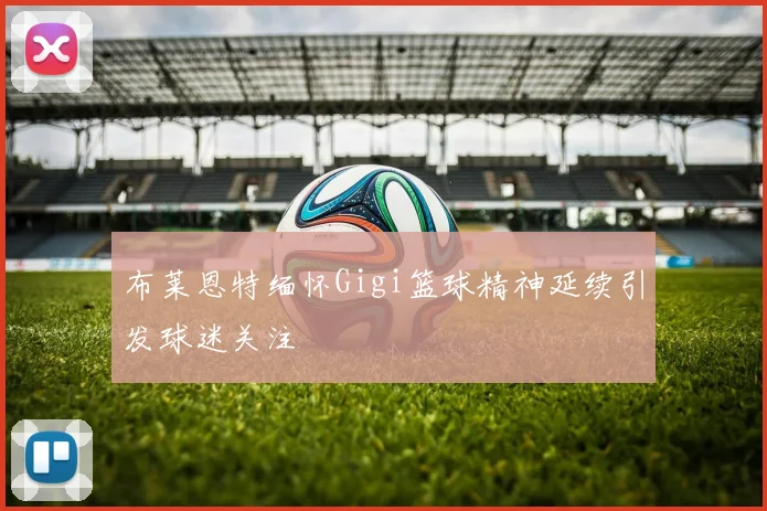 布莱恩特缅怀Gigi篮球精神延续引发球迷关注