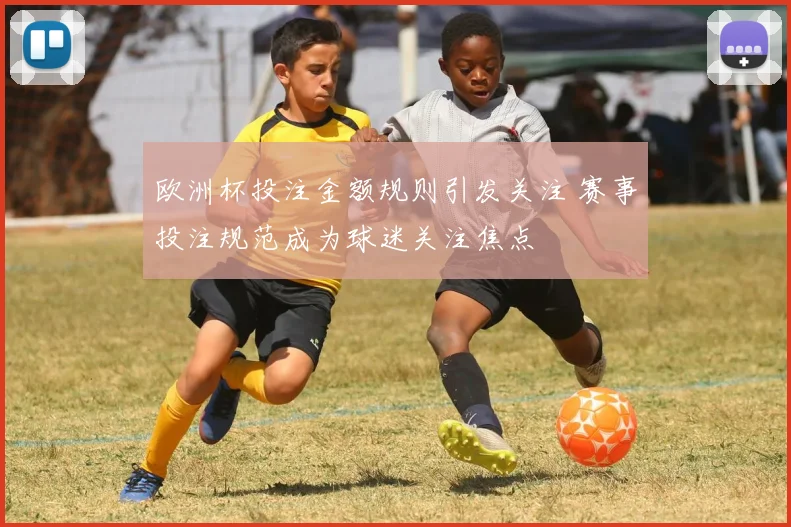 欧洲杯投注金额规则引发关注 赛事投注规范成为球迷关注焦点