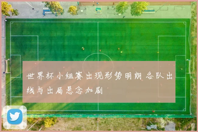 世界杯小组赛出现形势明朗 各队出线与出局悬念加剧